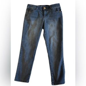 Democracy Ab Solution Ankle Length Jean/Jegging Size 10